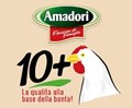 Amadori 10+